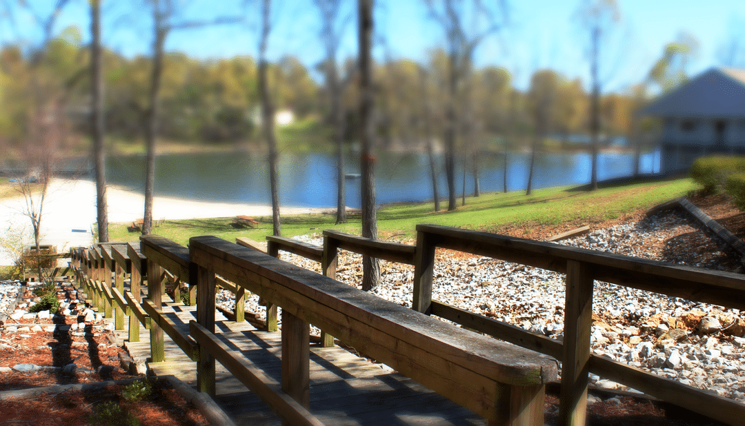 horseshoe bend dogwood