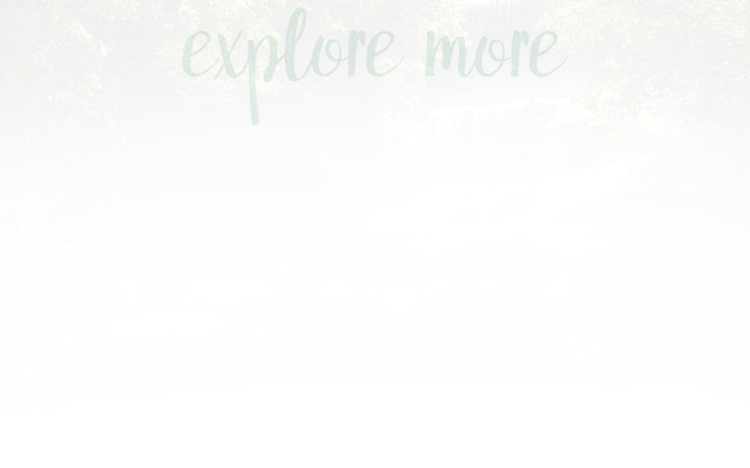 explore-more