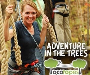 Loco Ropes at Ozark Folk Center State Park is an Exhilarating Adventurous Experience for a Great Fun Challenge!