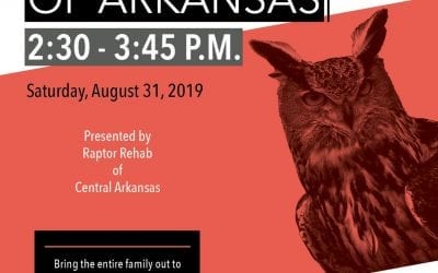 Live Raptors of Arkansas”  Coming to Jacksonport State Park on Labor Day Weekend!