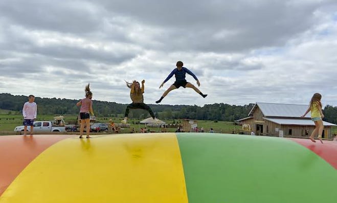 Jackson Farms is the destination for you to fall in love, pumpkins, sunflowers, jumping fun, corn maze and much more to enjoy at this family fun spot at Black Rock Arkansas