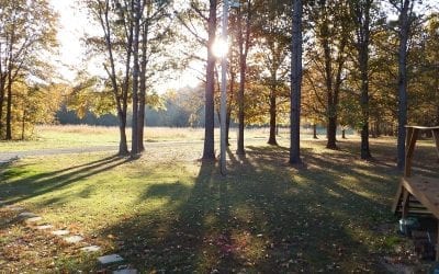 Trukees Canoe and Cabin Rental near Imboden Arkansas is a perfect destination for your outdoor escape